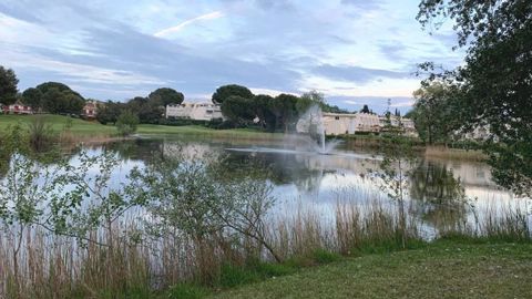 Durant le Salon du végétal, en septembre, une conférence abordera « L’eau et le végétal au secours de nos villes  ».©O.Maillard